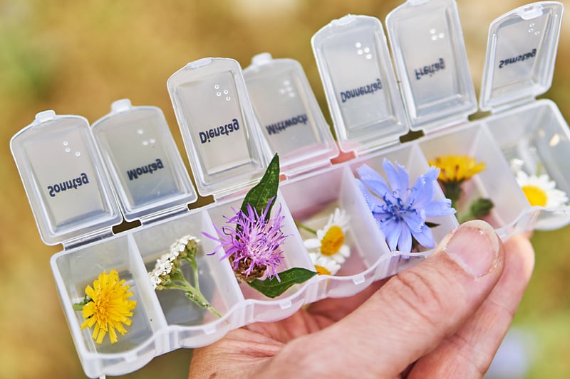 A daily pill organizer filled with fresh medicinal flowers and herbs.